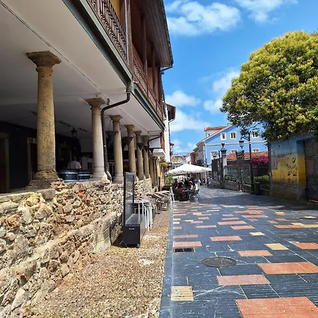 Daire La Santina Y Su Jardin *